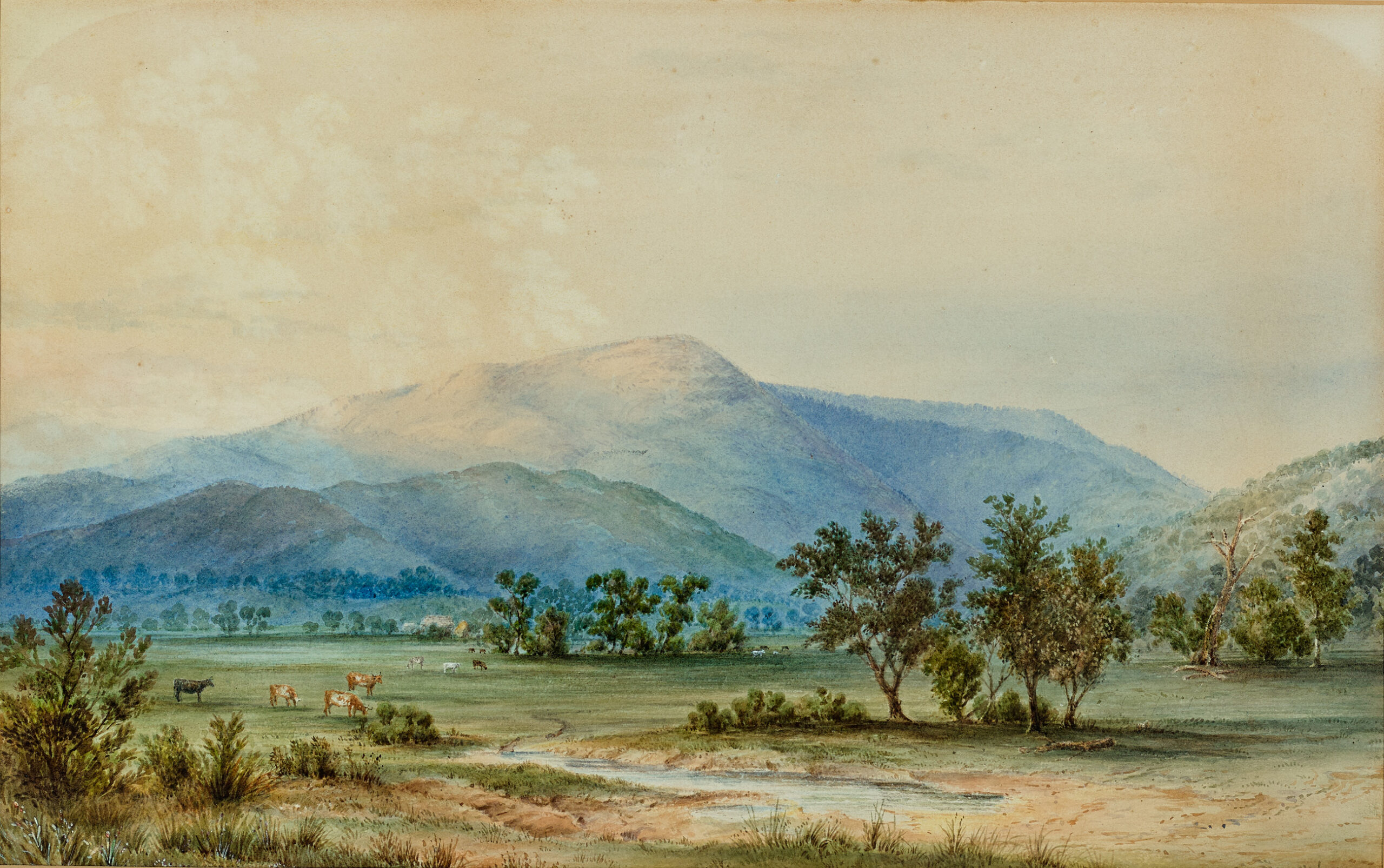 MT STURGEON, GRAMPIANS