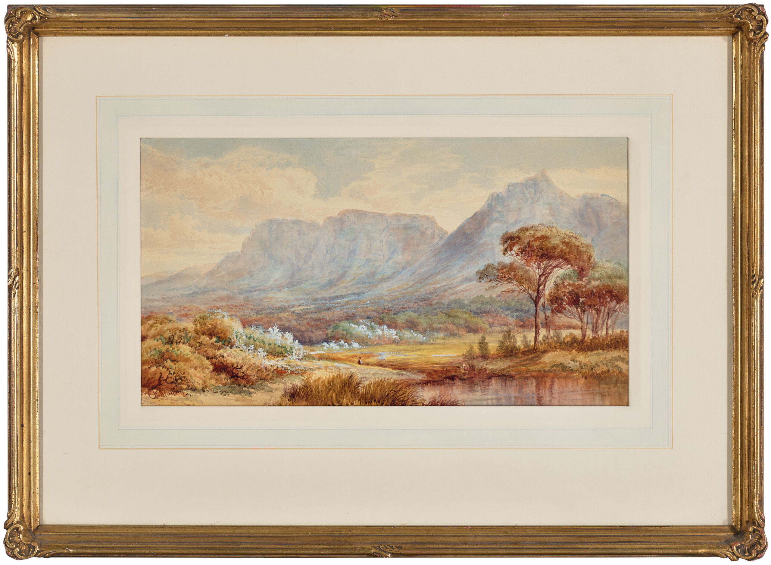 TABLE MOUNTAIN