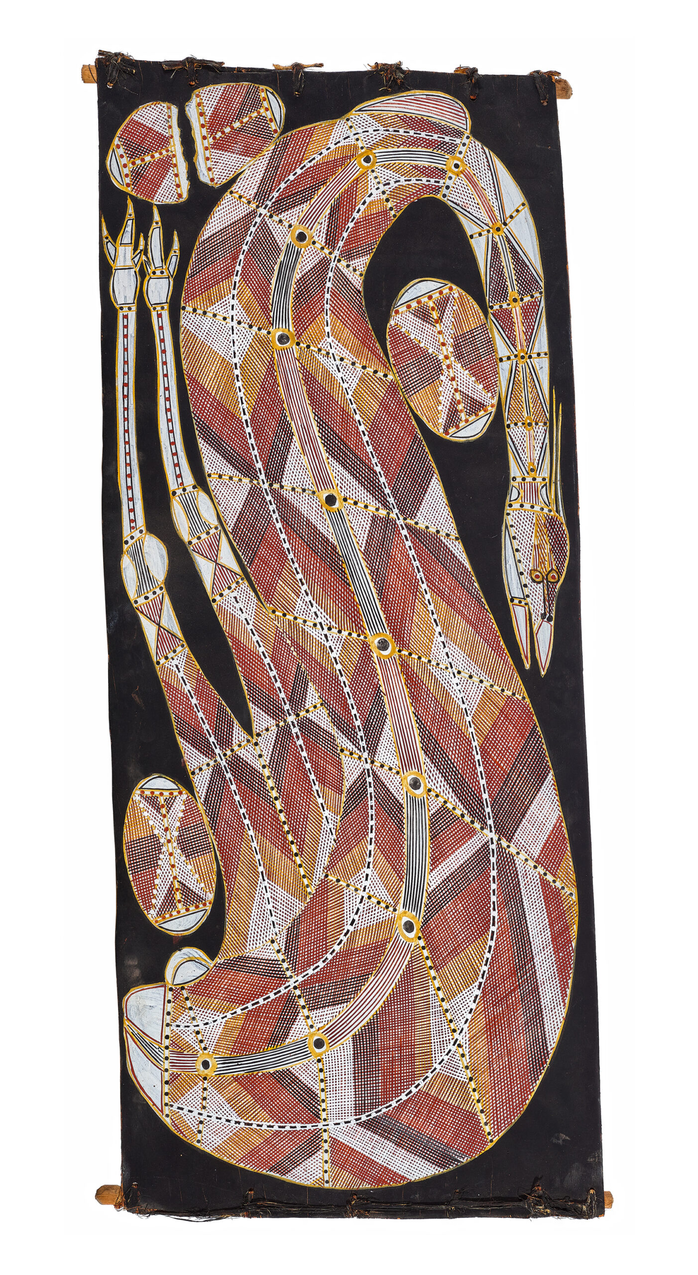 BENOK (PLAINS TURKEY)