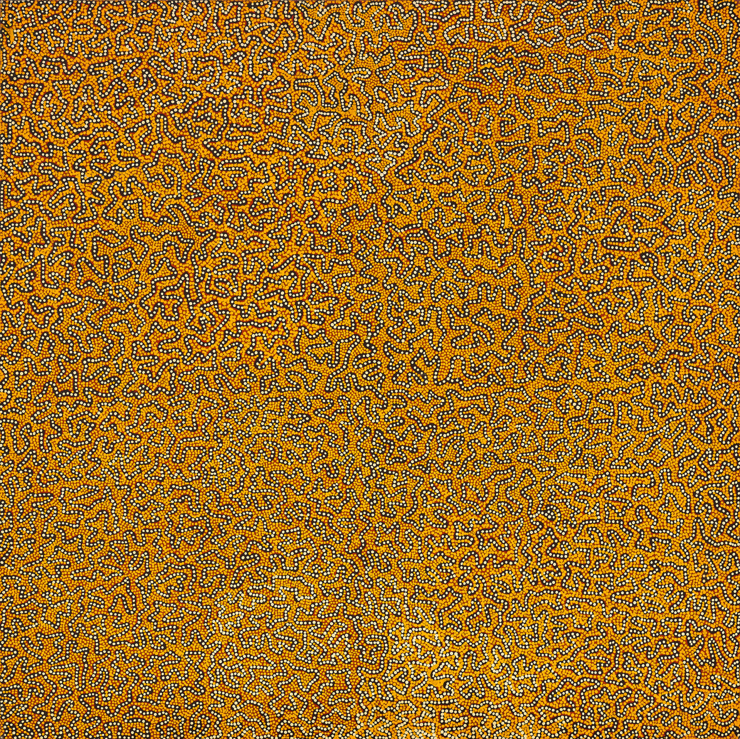 Untitled (Tingari story)