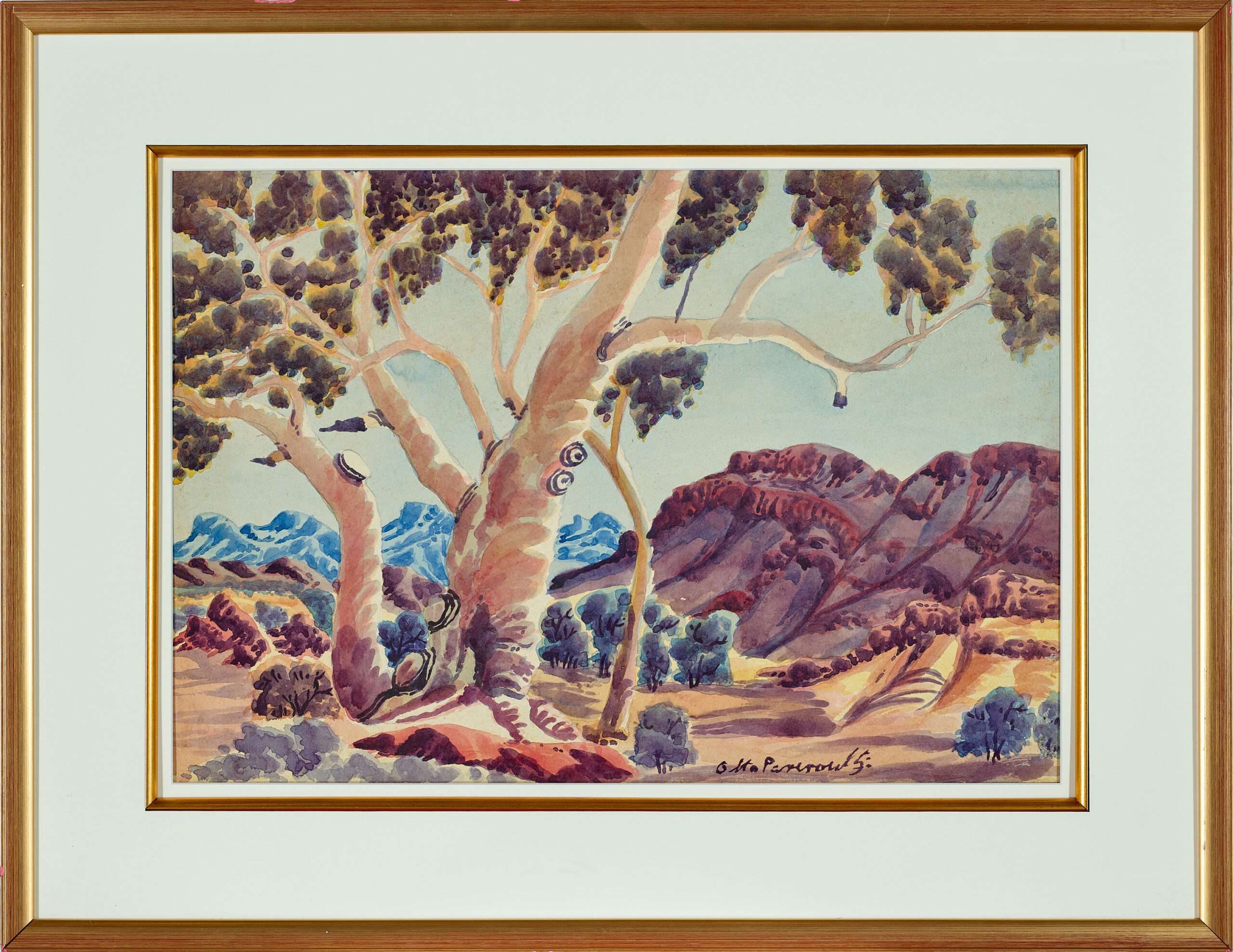 TOTEMIC GUM, MCDONNELL RANGES, CENTRAL AUSTRALIA