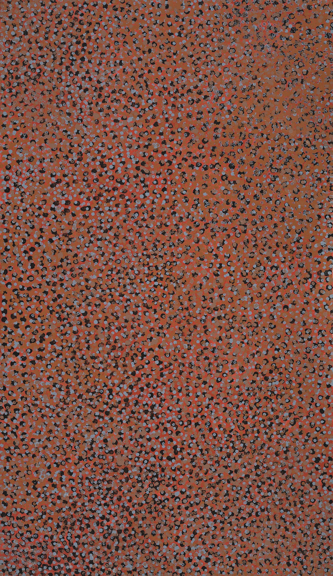 MERNE NDORKWA (WILD PLUM)