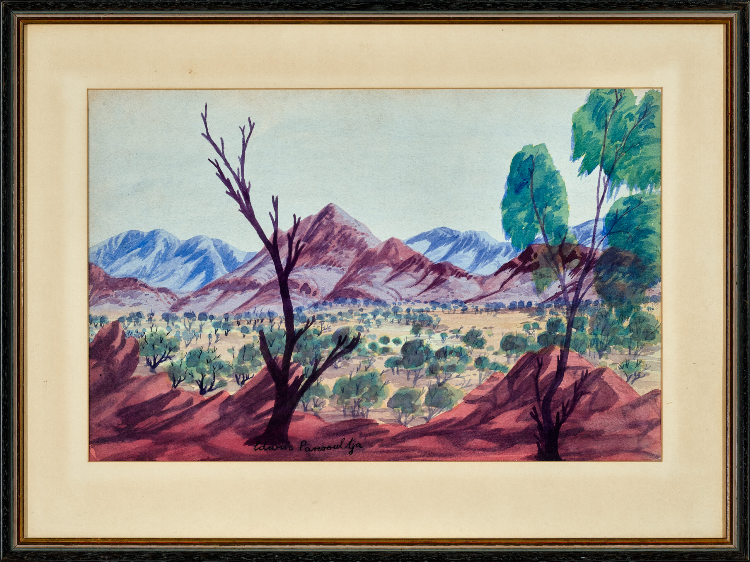 CENTRAL AUSTRALIAN LANDSCAPE
