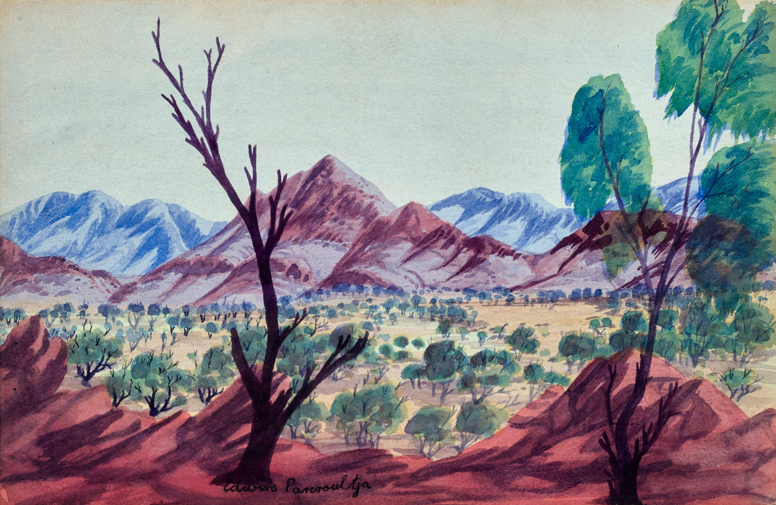 CENTRAL AUSTRALIAN LANDSCAPE
