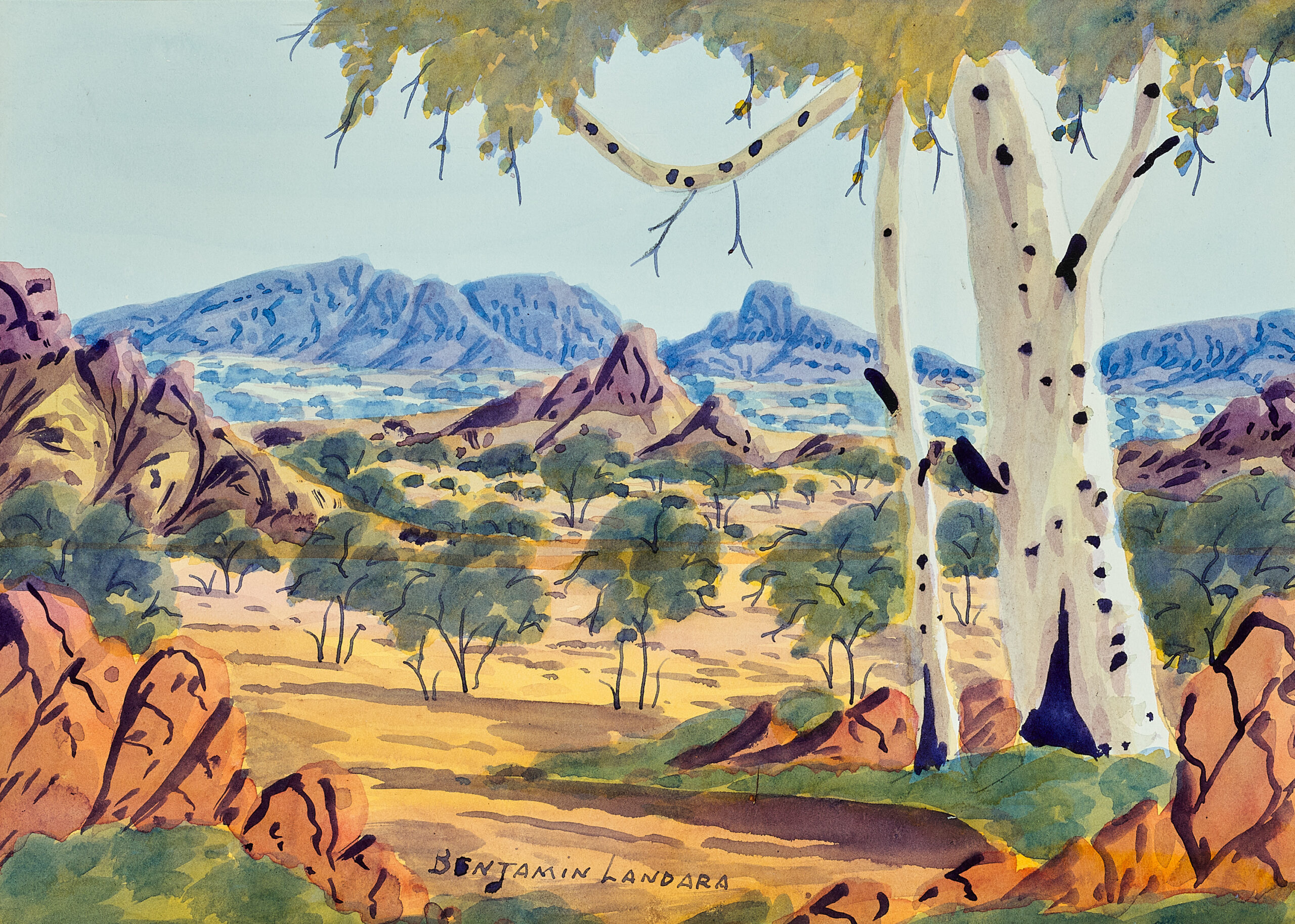 GHOST GUM, CENTRAL DESERT