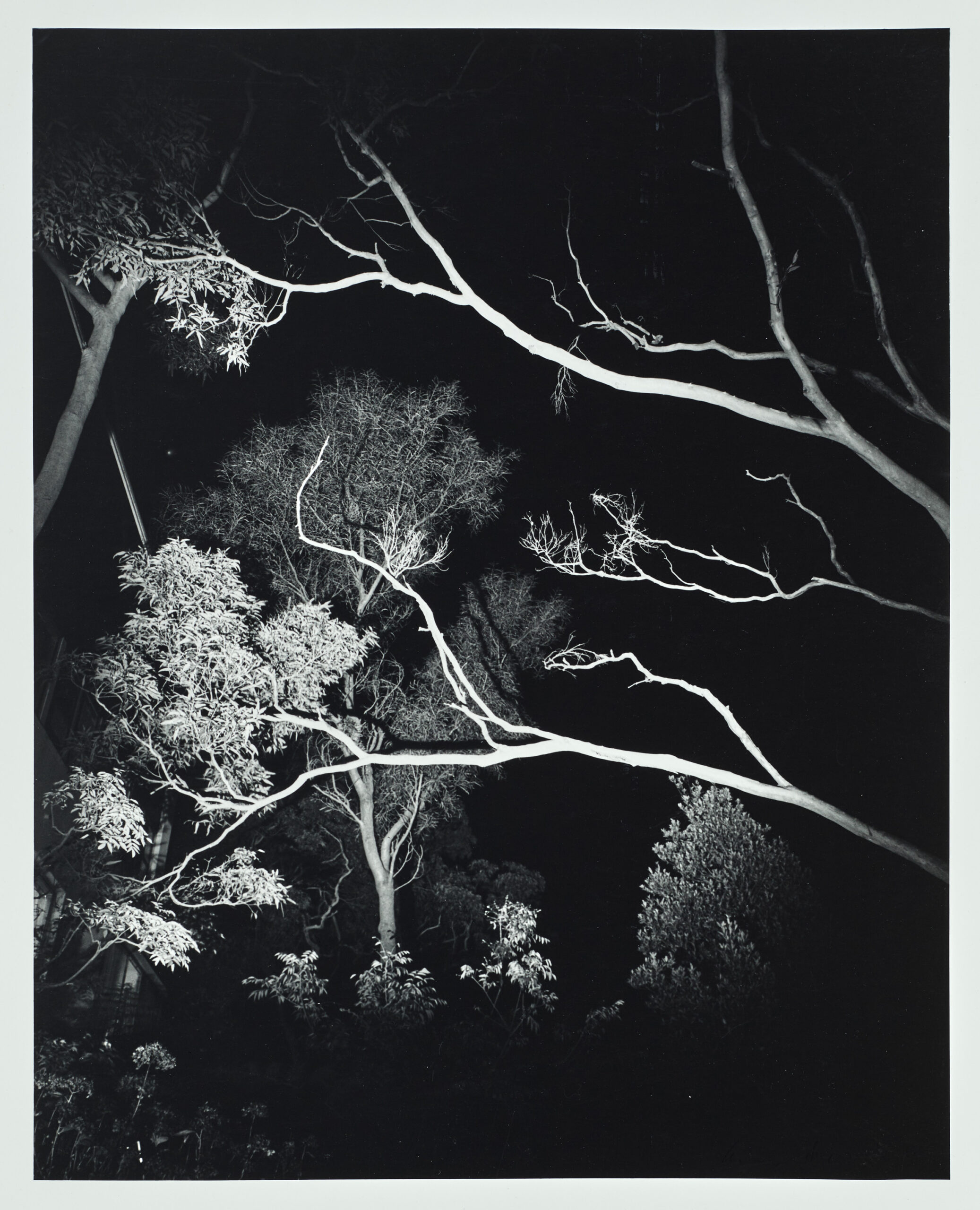 LANDSCAPE AT NIGHT CASTLECRAG