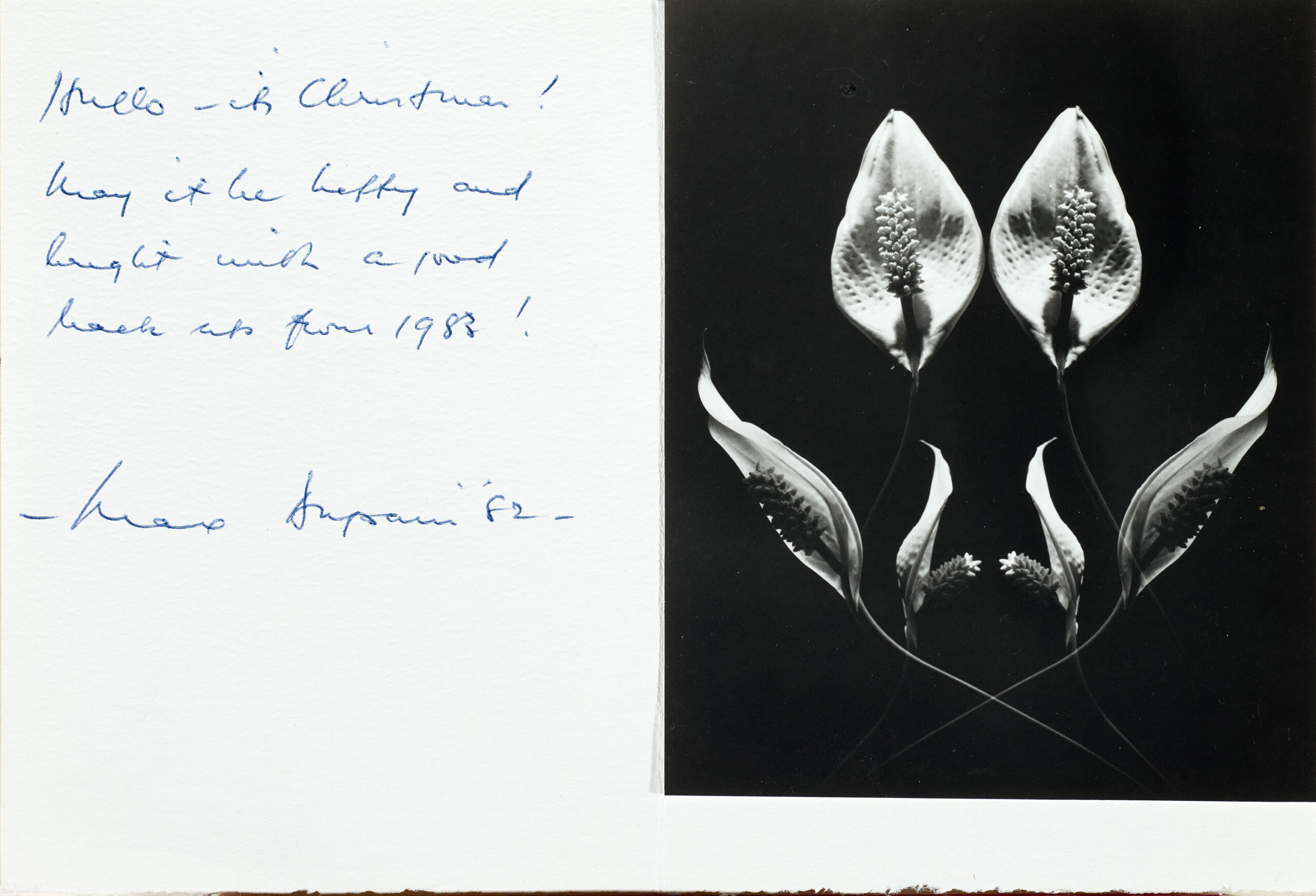 CHRISTMAS CARD WITH PEACE LILY PHOTO