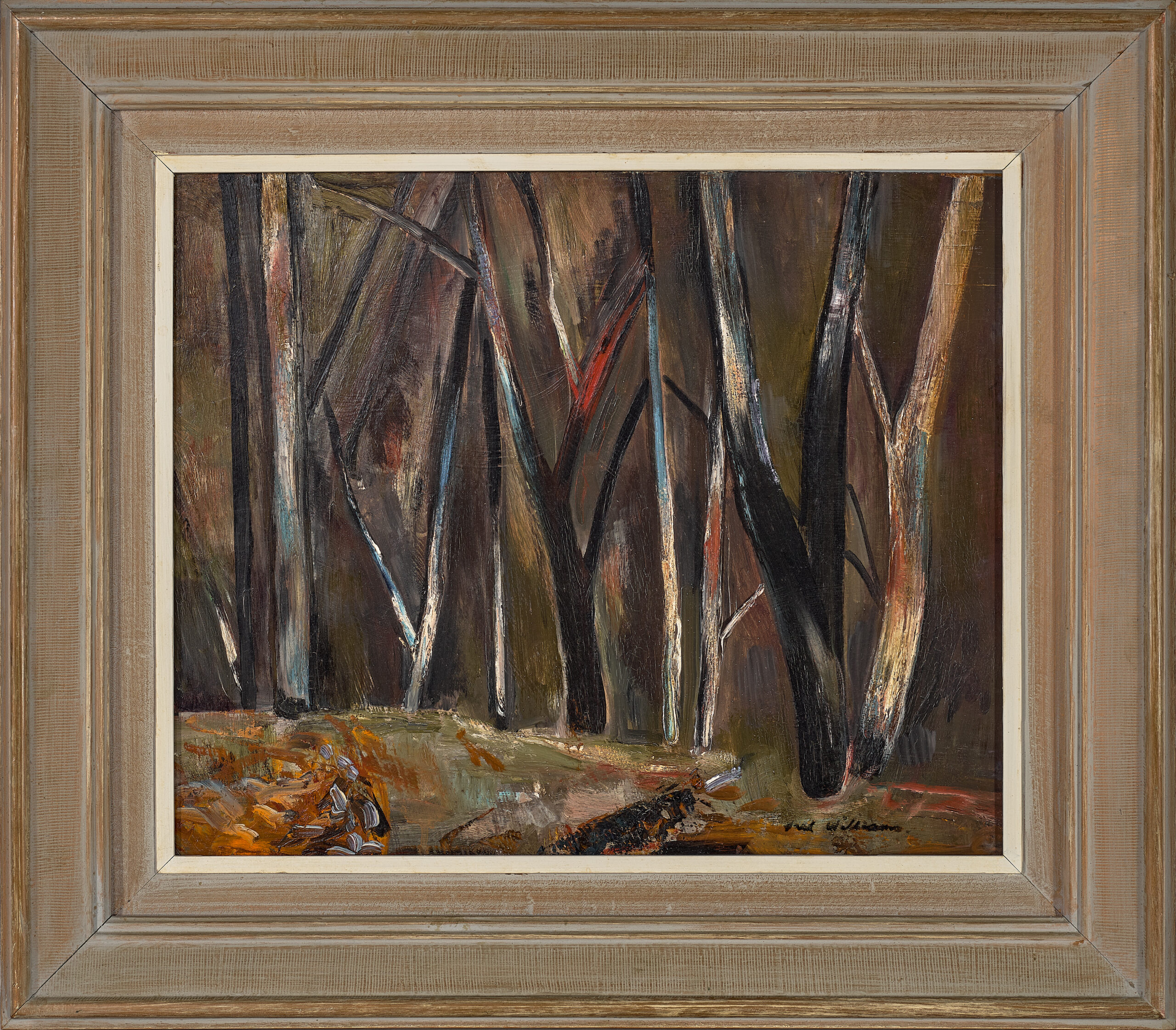 SHERBROOKE FOREST