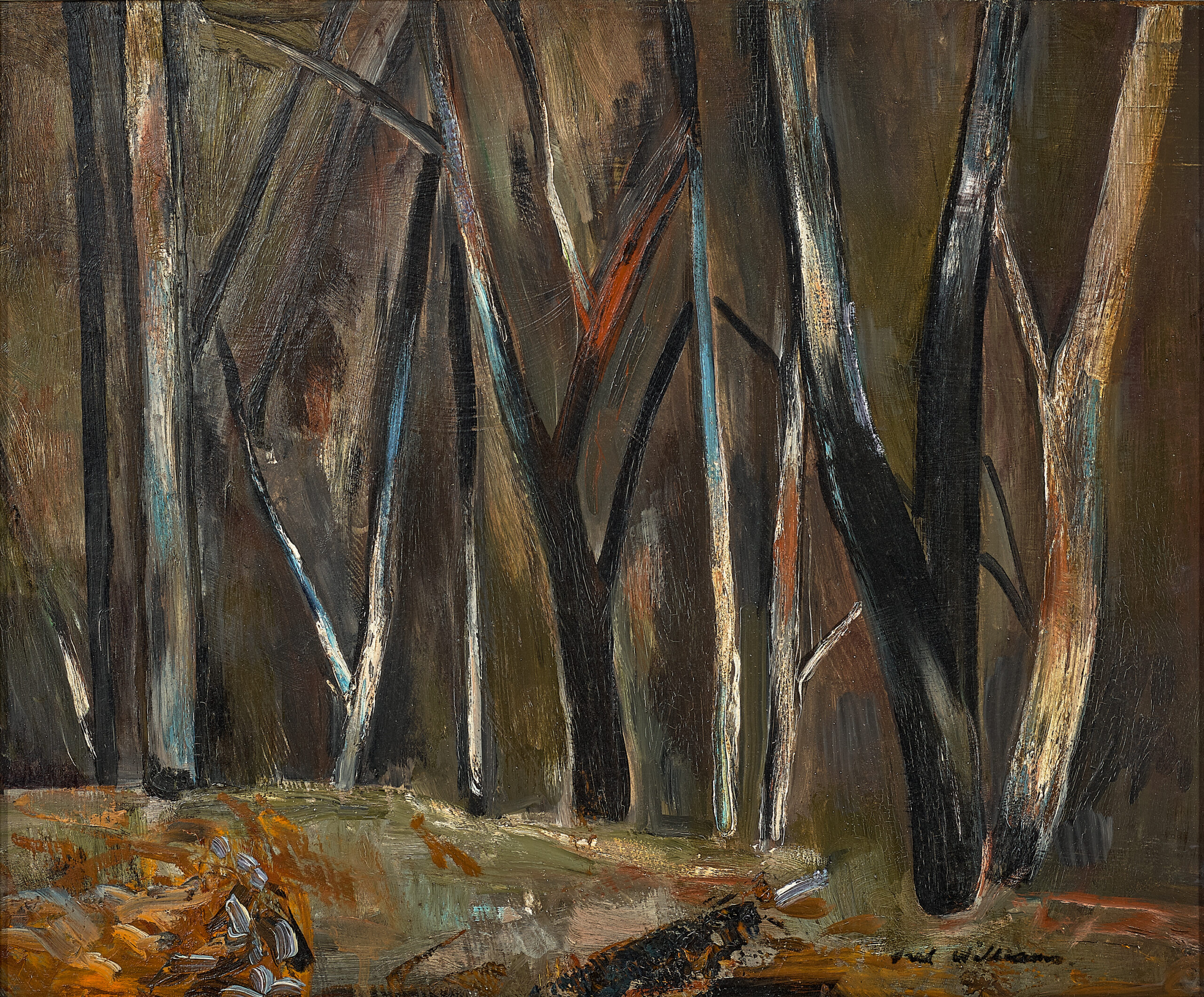 SHERBROOKE FOREST