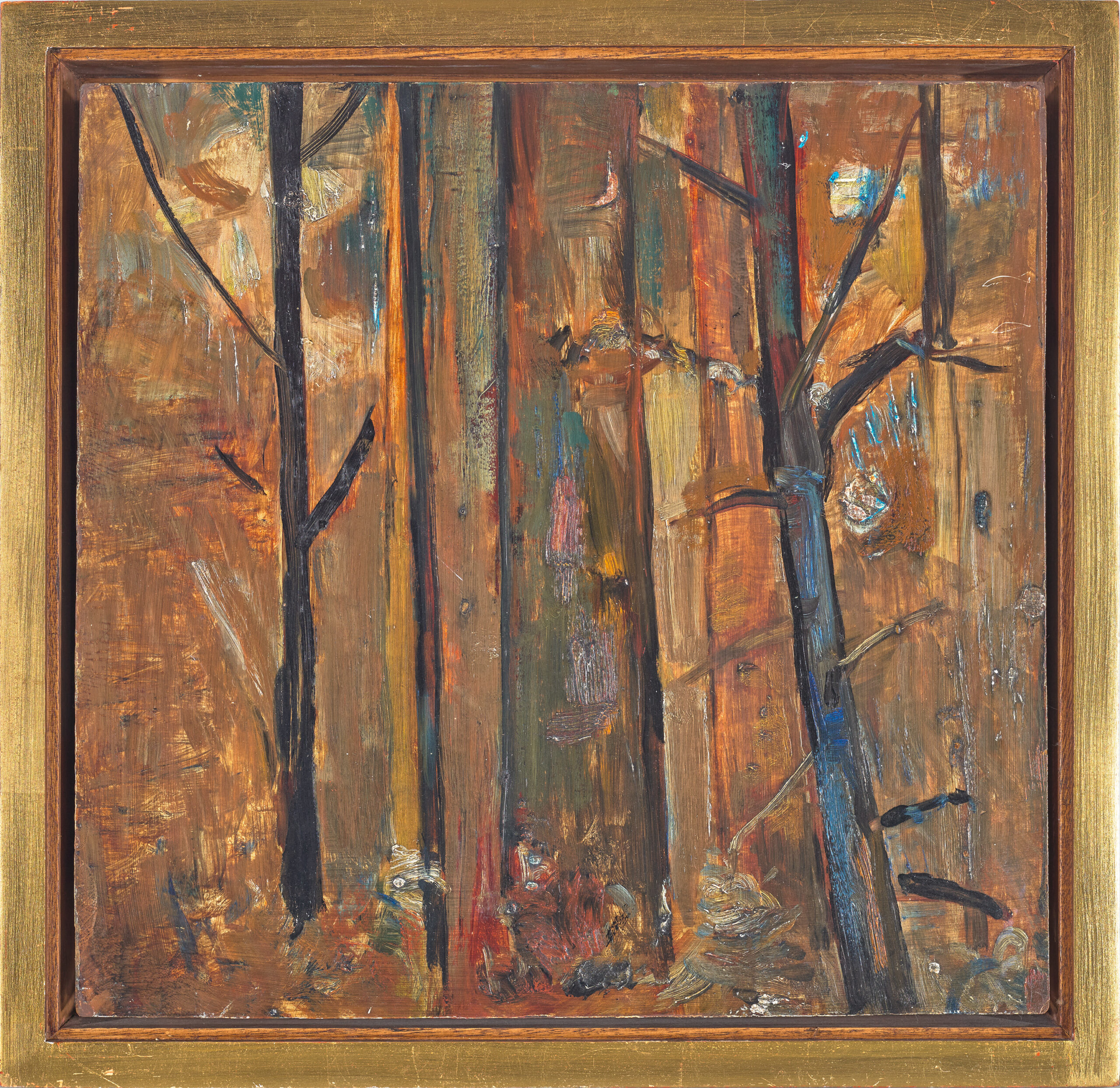 FOREST TREES