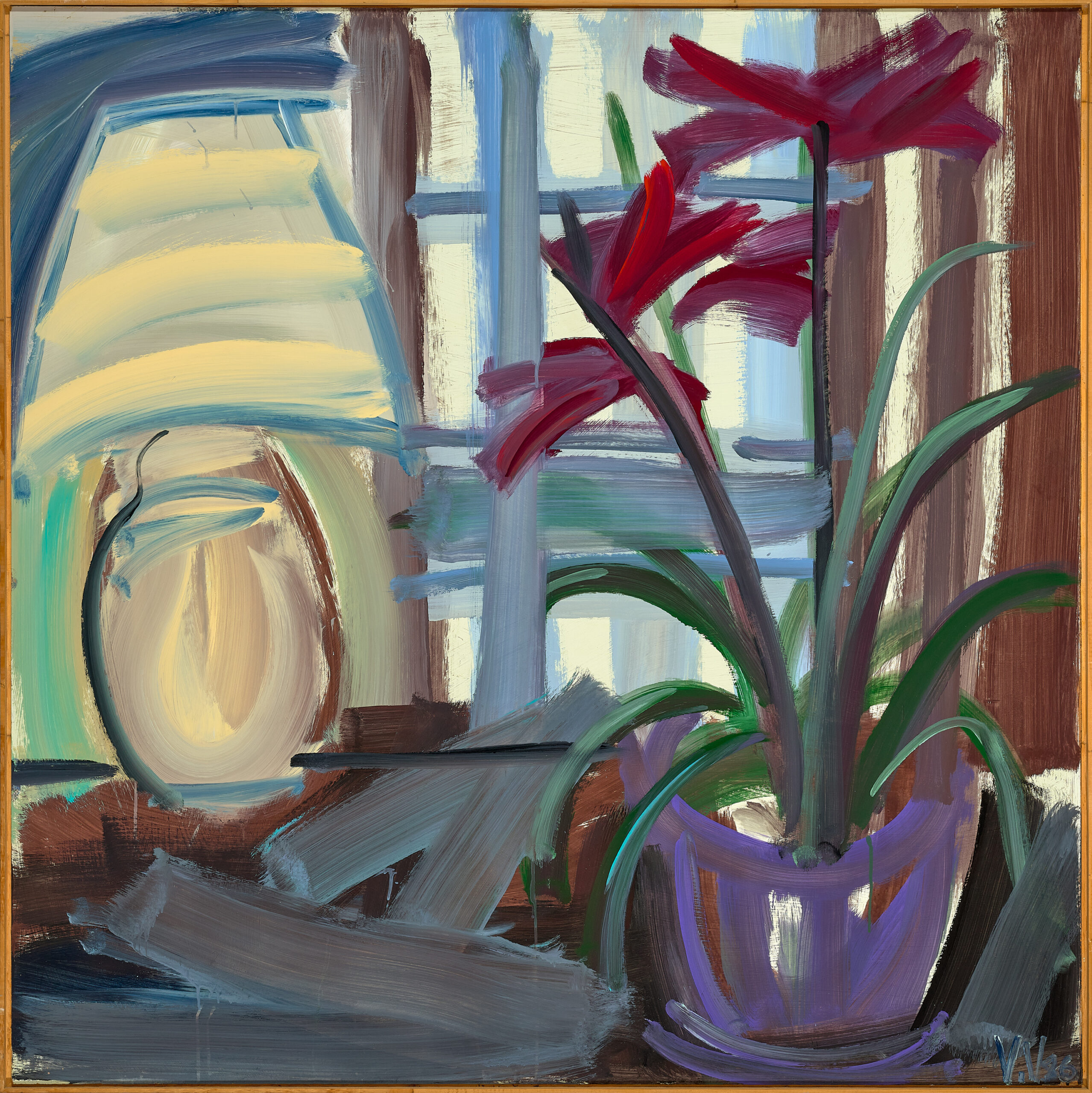 STILL LIFE – HIPPEASTRUMS