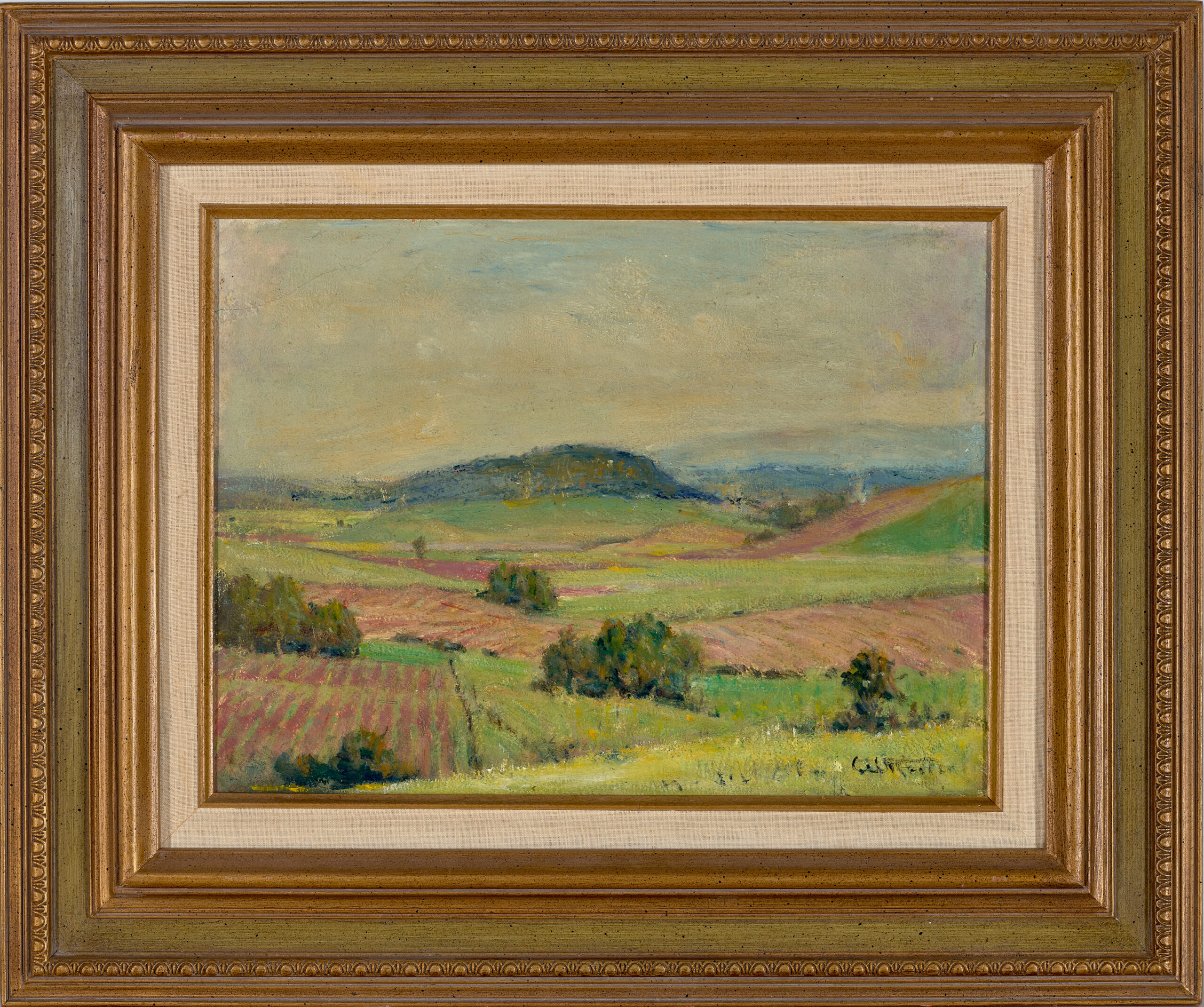CANE FIELDS, INNISFALL