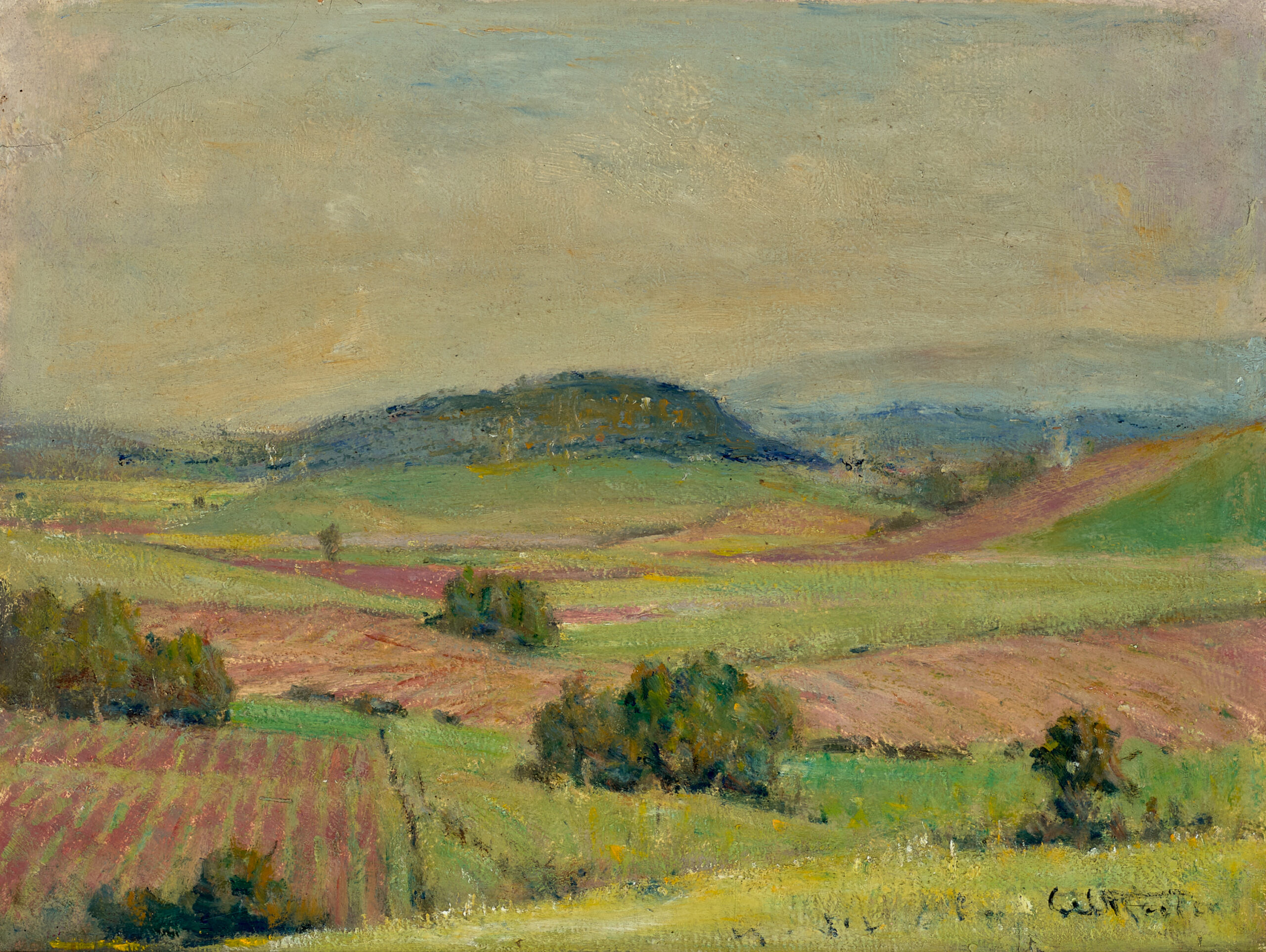 CANE FIELDS, INNISFALL