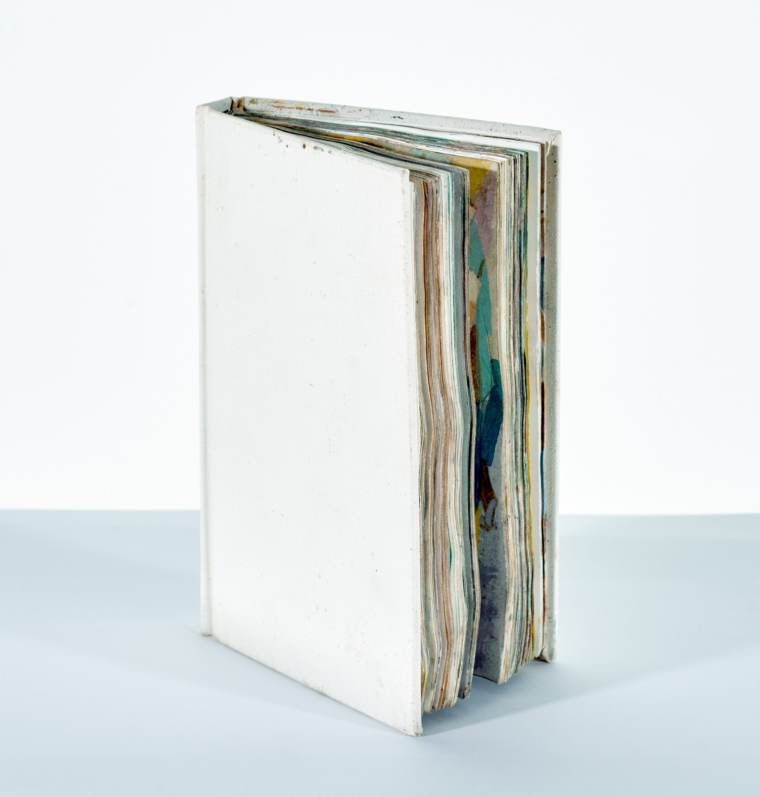 ARTIST’S BOOK OF ONE HUNDRED AND FIVE WORKS