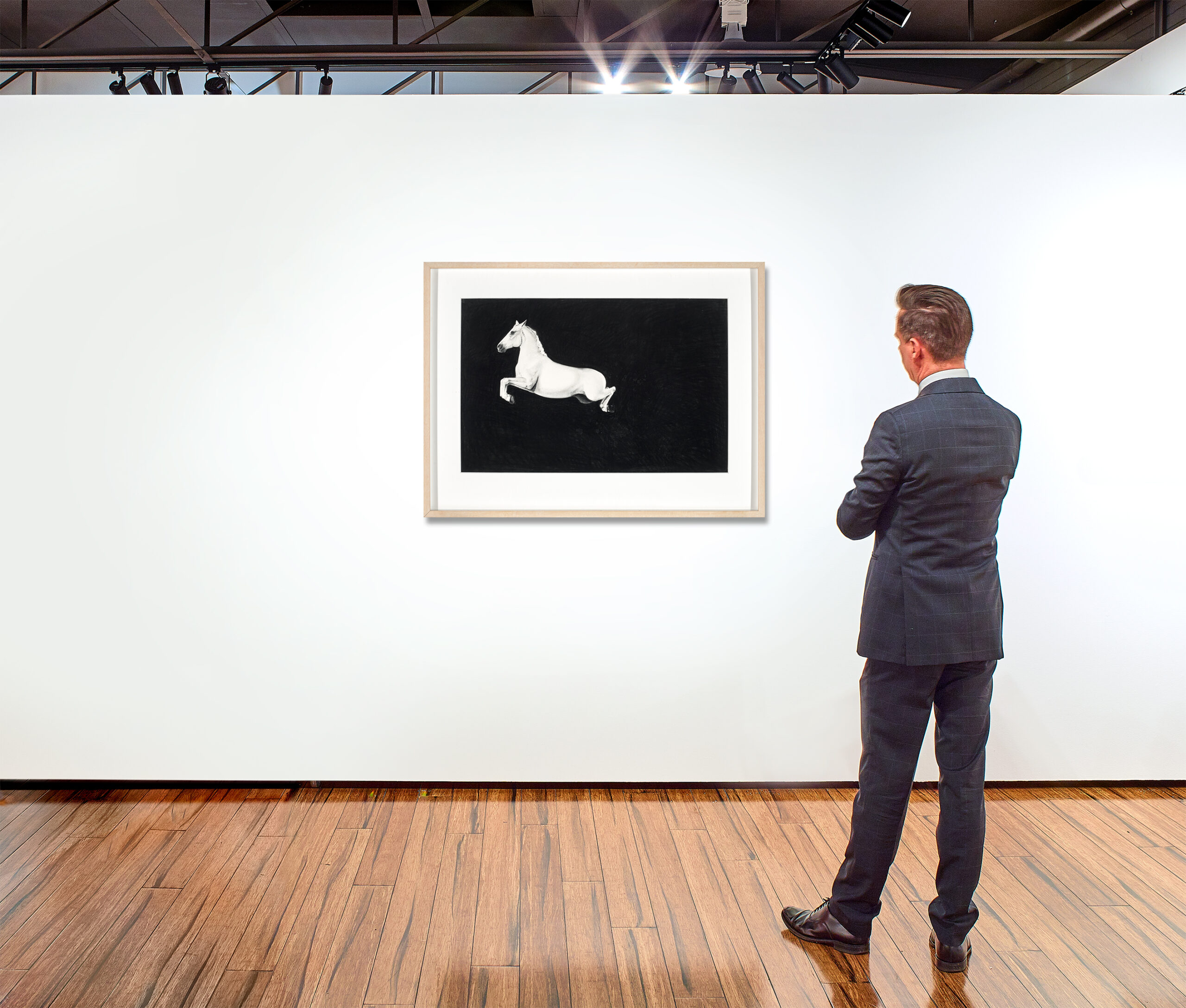 WHITE HORSE JUMPING