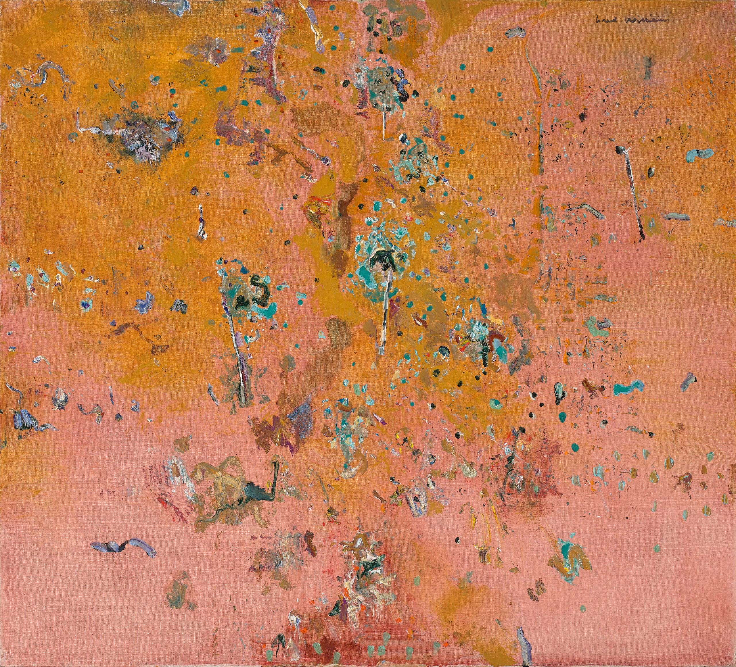 Paraburdoo landscape