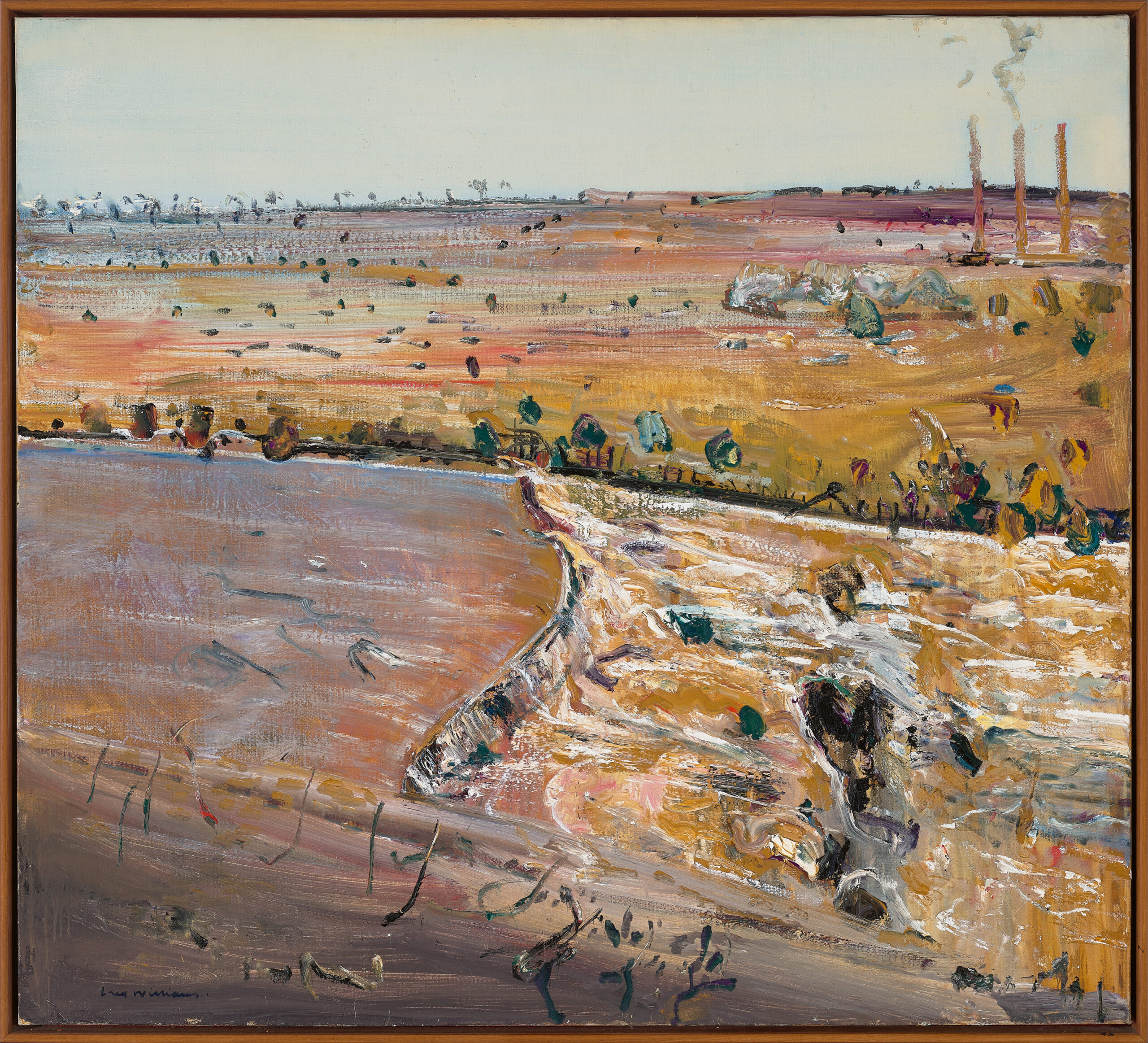 Barwon in flood II