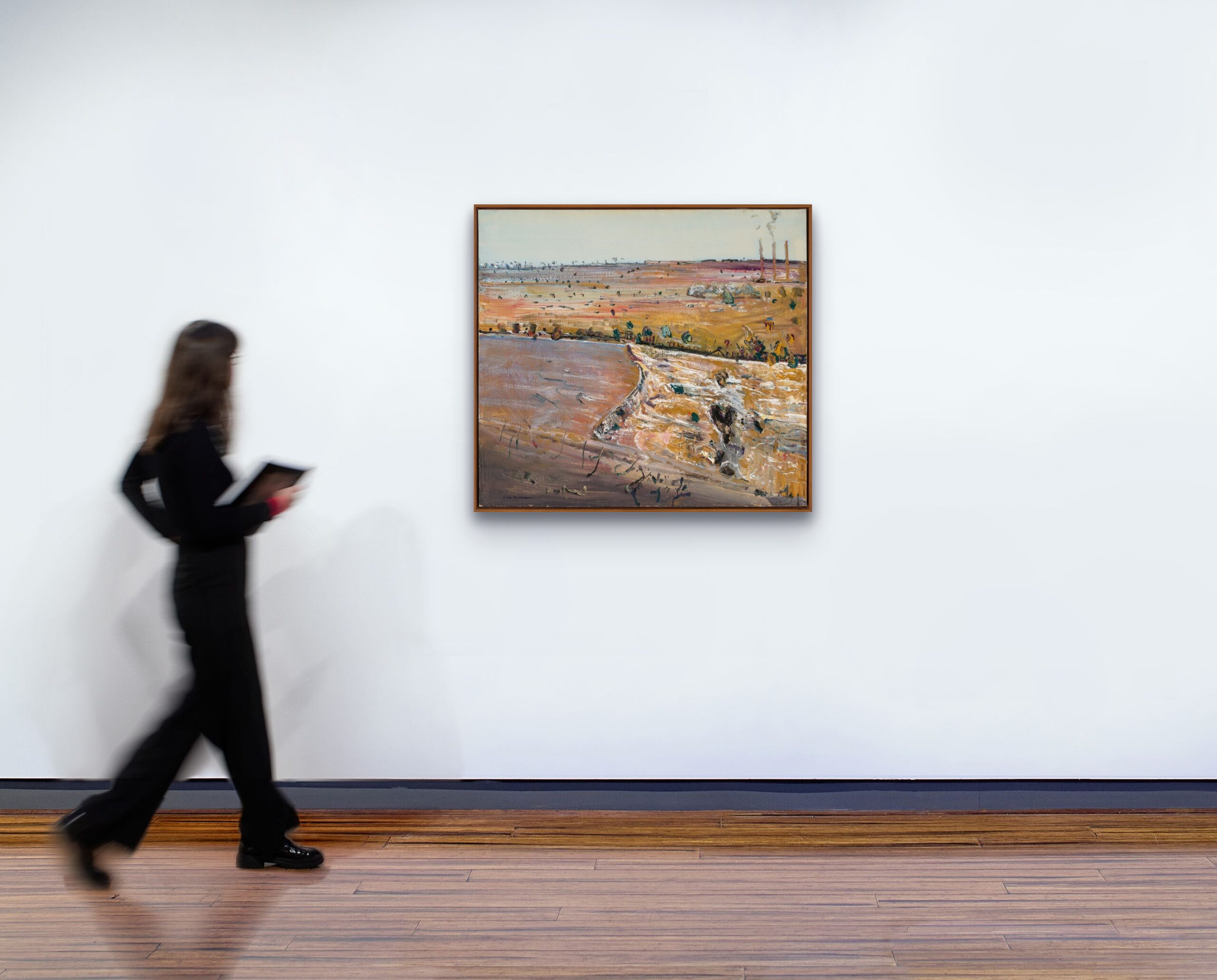 Barwon in flood II