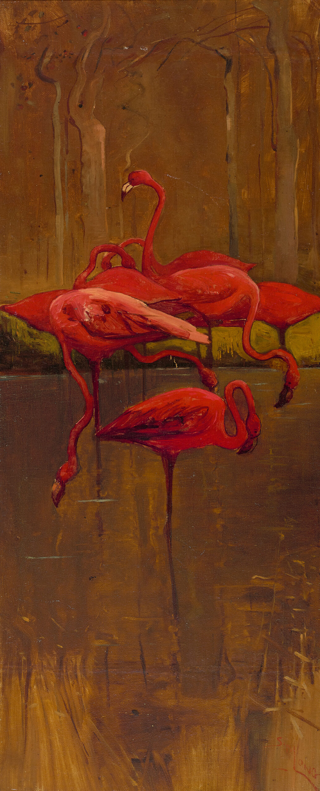 Flamingoes