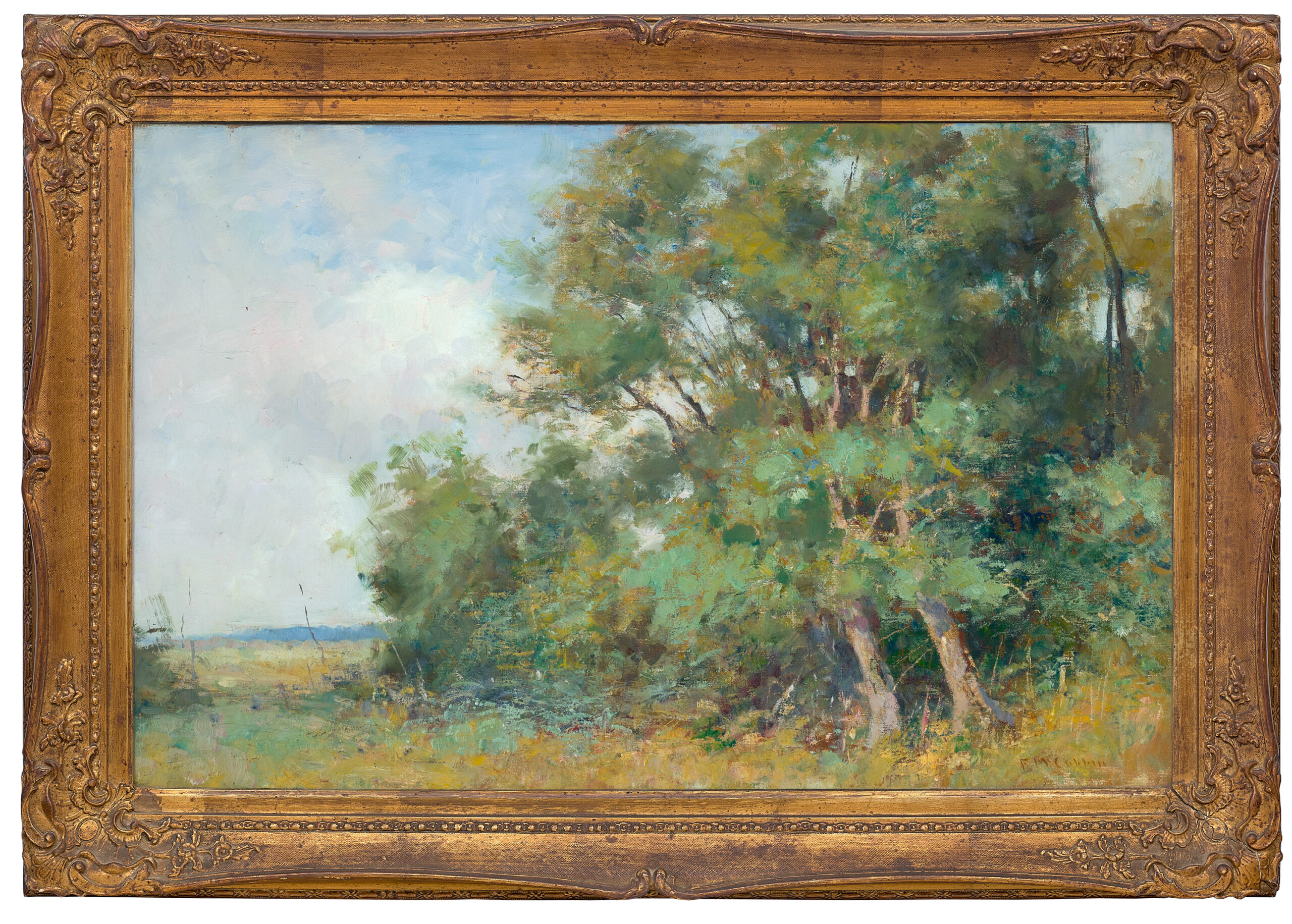 Macedon landscape (View from Hesket)